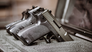 two pistols inside a case